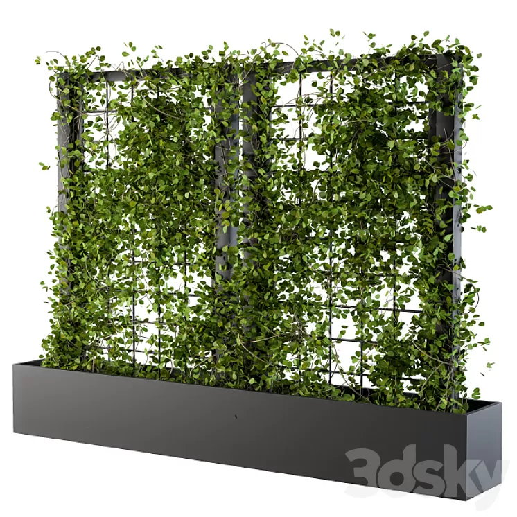 Ivy on grid 2 3D Model