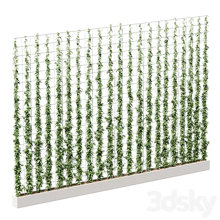 Ivy on the grid 3D Model