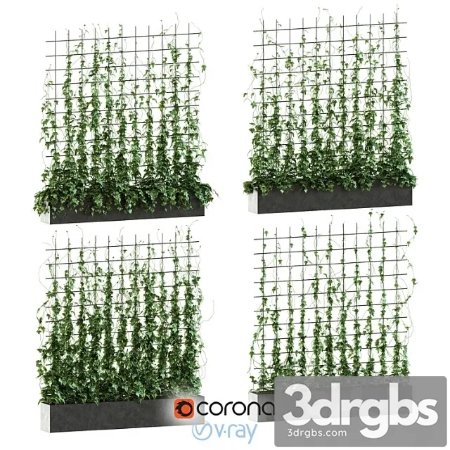 Ivy on The Grid 3D Model Free