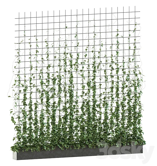 Ivy on the grid v2 3D Model