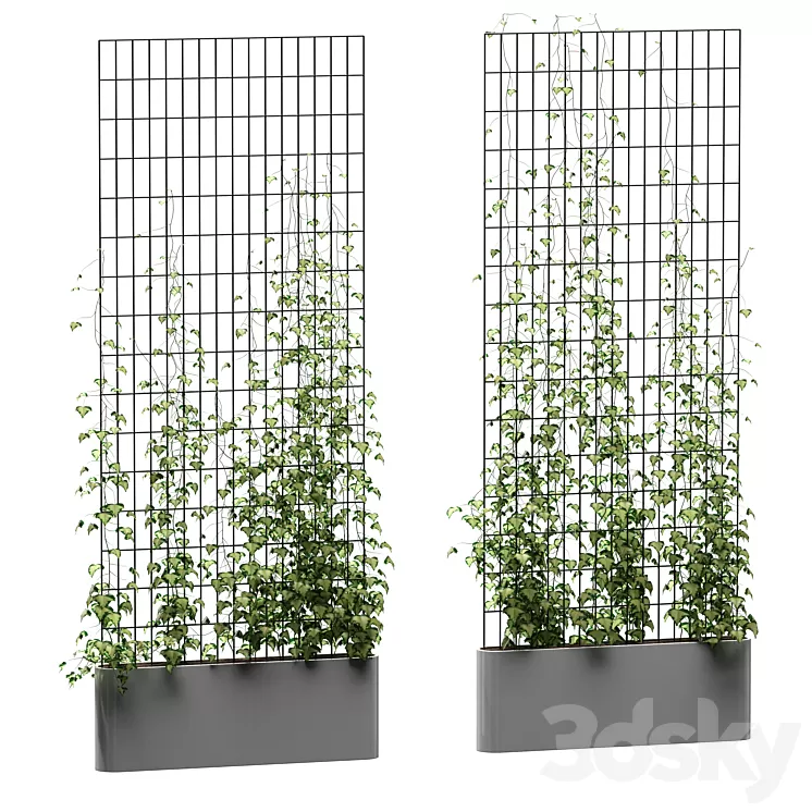 Ivy on the grid v3 3D Model