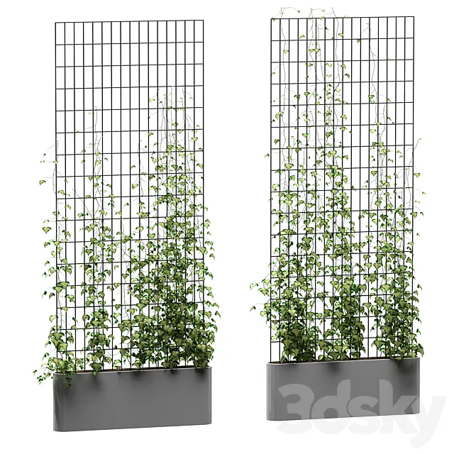 Ivy on the grid v3 3DModel