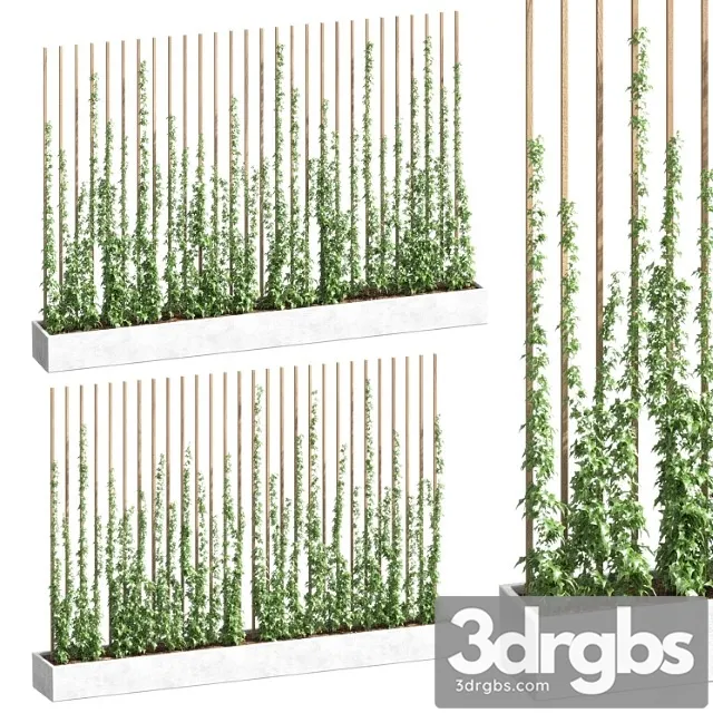 Ivy Partition 3D Model Free