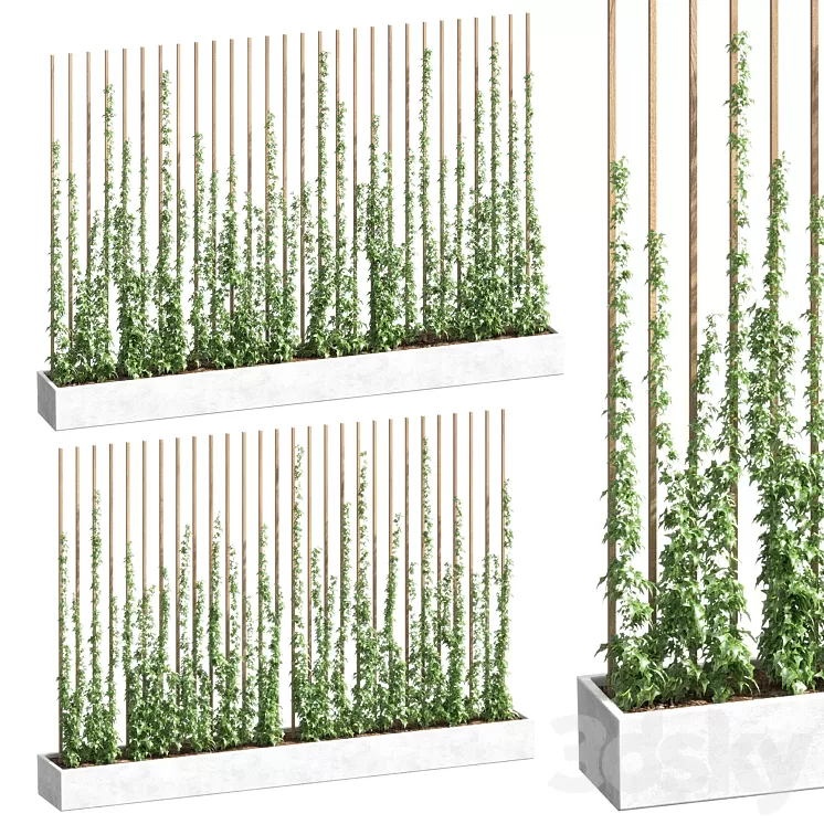 Ivy partition 3D Model