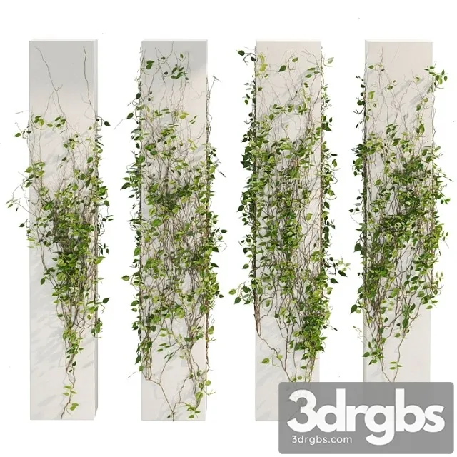 Ivy Plants 01 3D Model Free