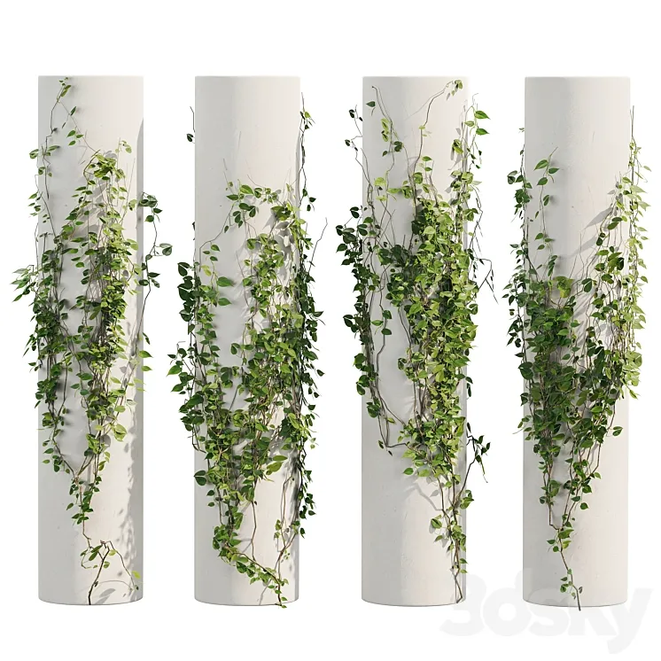 Ivy Plants 3D Model Free