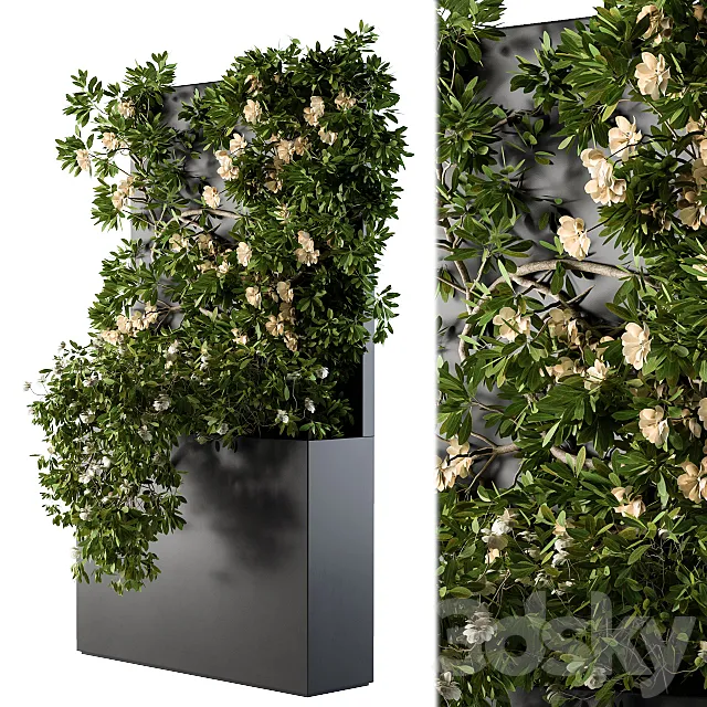 Ivy Plants Box with Flower 02 3D Model