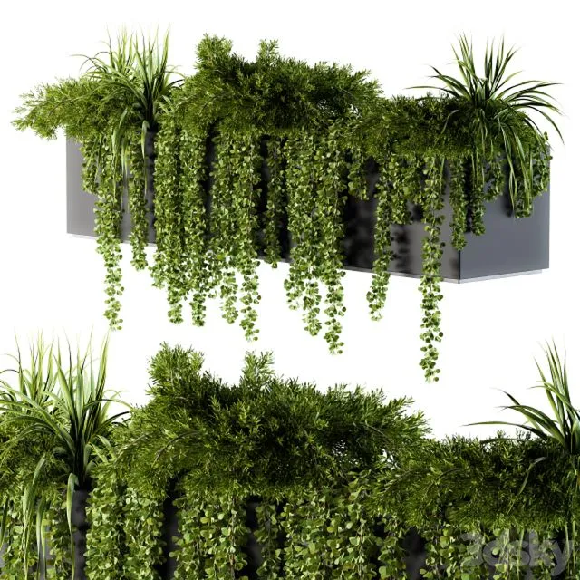 ivy plants in box - Outdoor Set 62 3D Model