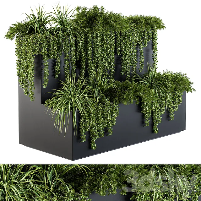 ivy plants in box - Set 61 3D Model