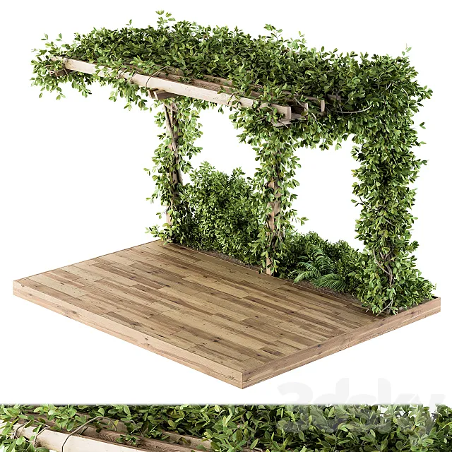 Ivy Plants on Pergola 3DModel