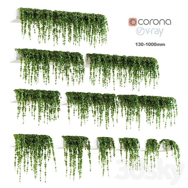 Ivy shelf. 12 models 3D Model