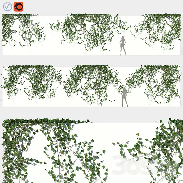 Ivy Wall 03 3D Model