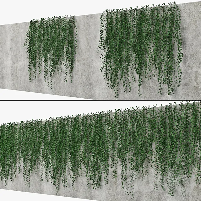 Ivy wall 09 3D Model