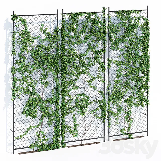 Ivy wall 3D Model