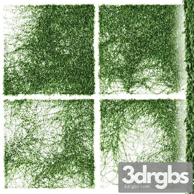 Ivy Wall 4 Models V3 3D Model Free