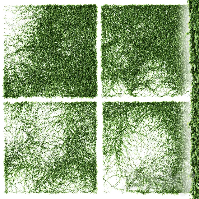 Ivy Wall. 4 models. v3 Free Download