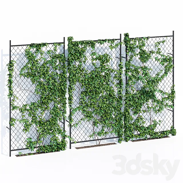 Ivy wall two 3D Model