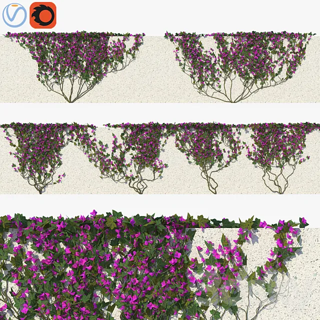 Ivy with Flowers 01 3D Model