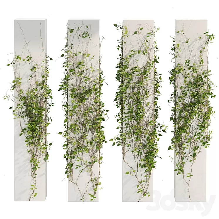 Ivy_Plants_01 3D Model Free