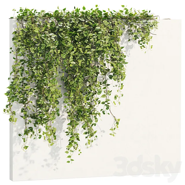 Ivy_Plants_18 3D Model