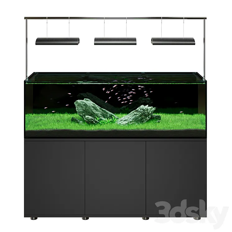 Iwagumi style aquarium 3D Model Free