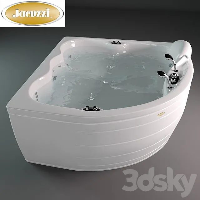 Jacuzzi _ Maxima 3D Model