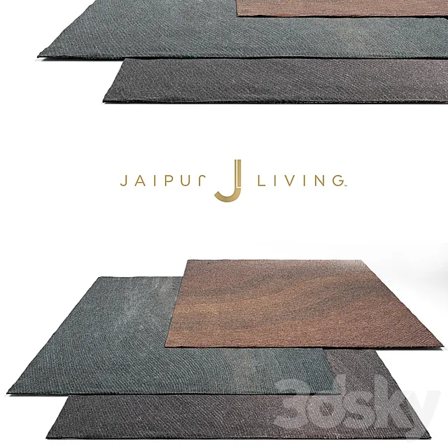 Jaipur Living Shags Rug Set 1 3DModel