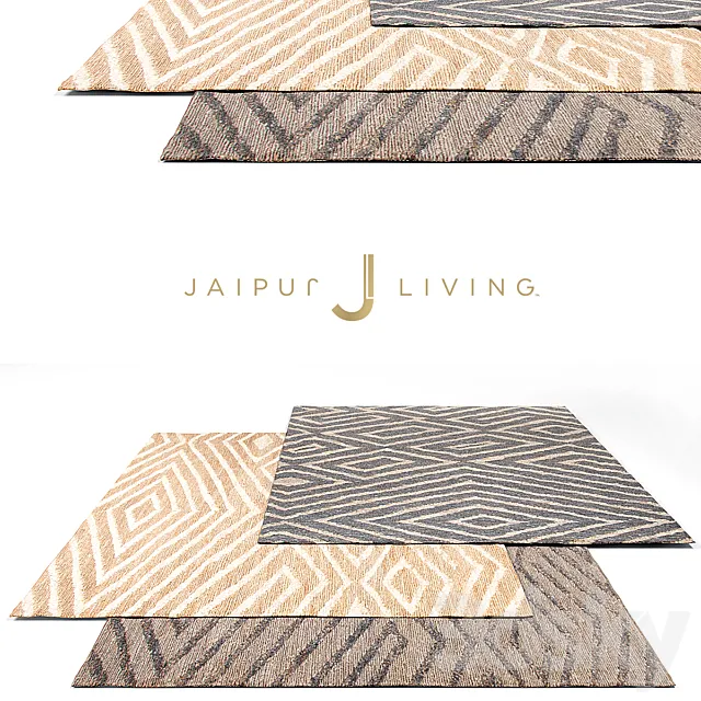 Jaipur Living Solid Rug Set 5 3DModel
