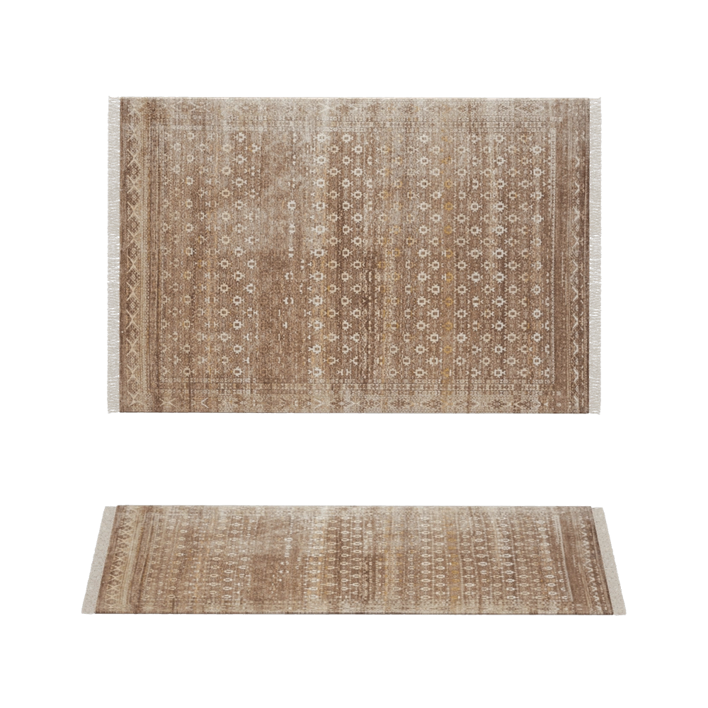 Jaipur Rugs - Rug Someplace In Time EA-3065 Espresso 3D Model