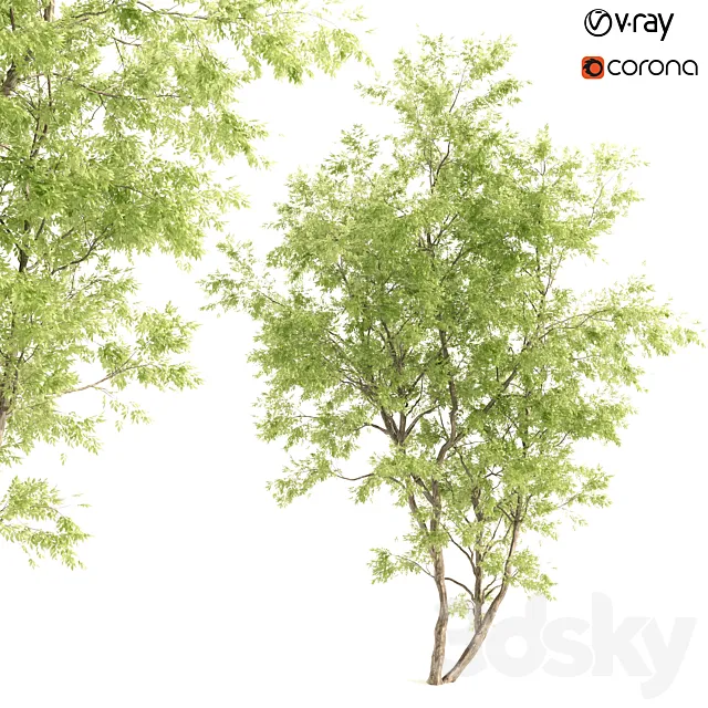 jam tree 3D Model