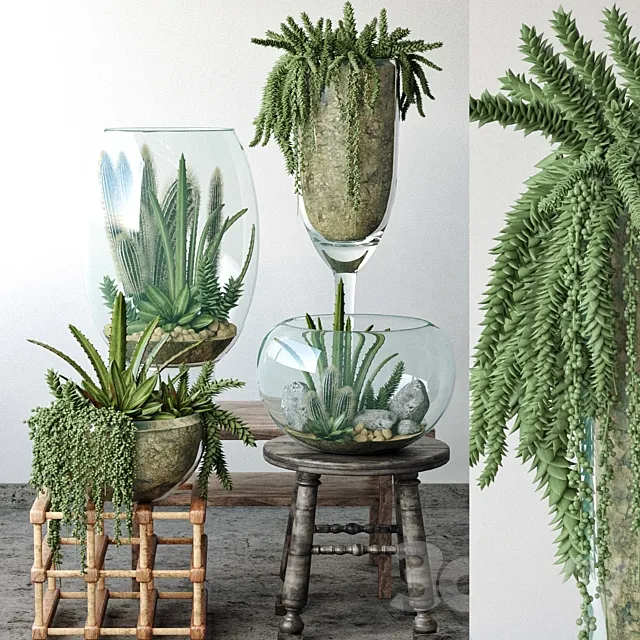 JC Small Garden in Glass Bowls 3D Model