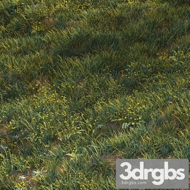 June Grass 3D Model Download