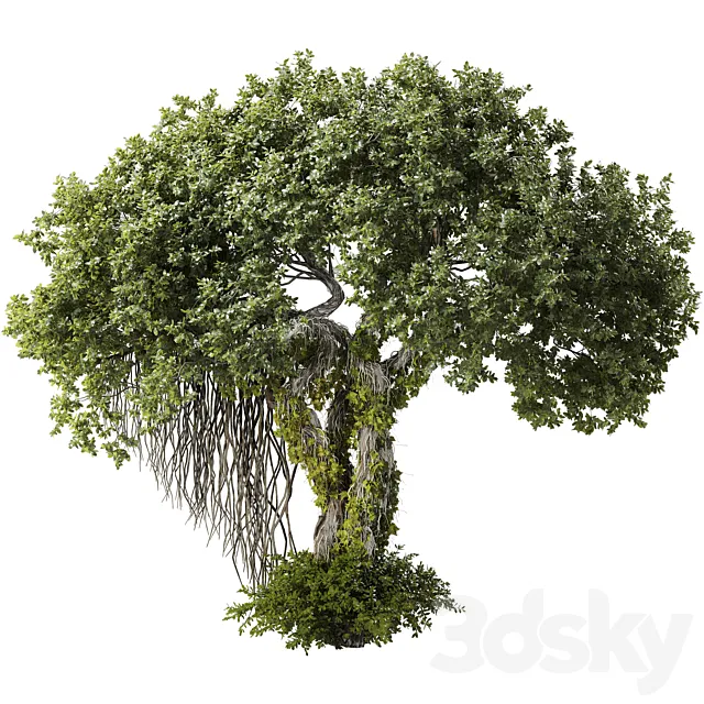 Jungle Tree and ivy plants 320 Free Download