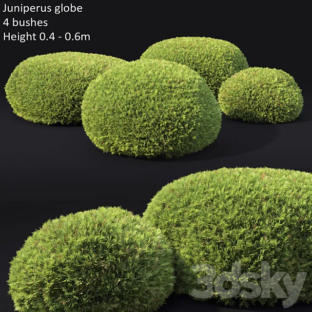 Juniperus Globe 3DModel