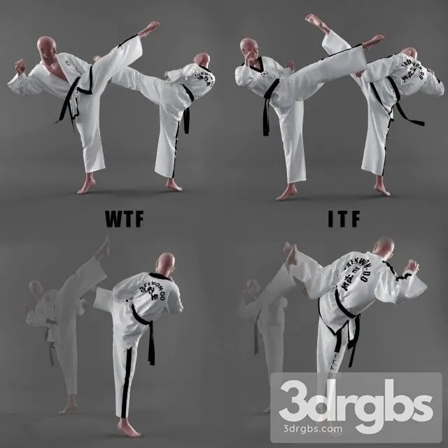 Karate Fighter 3D Model Free
