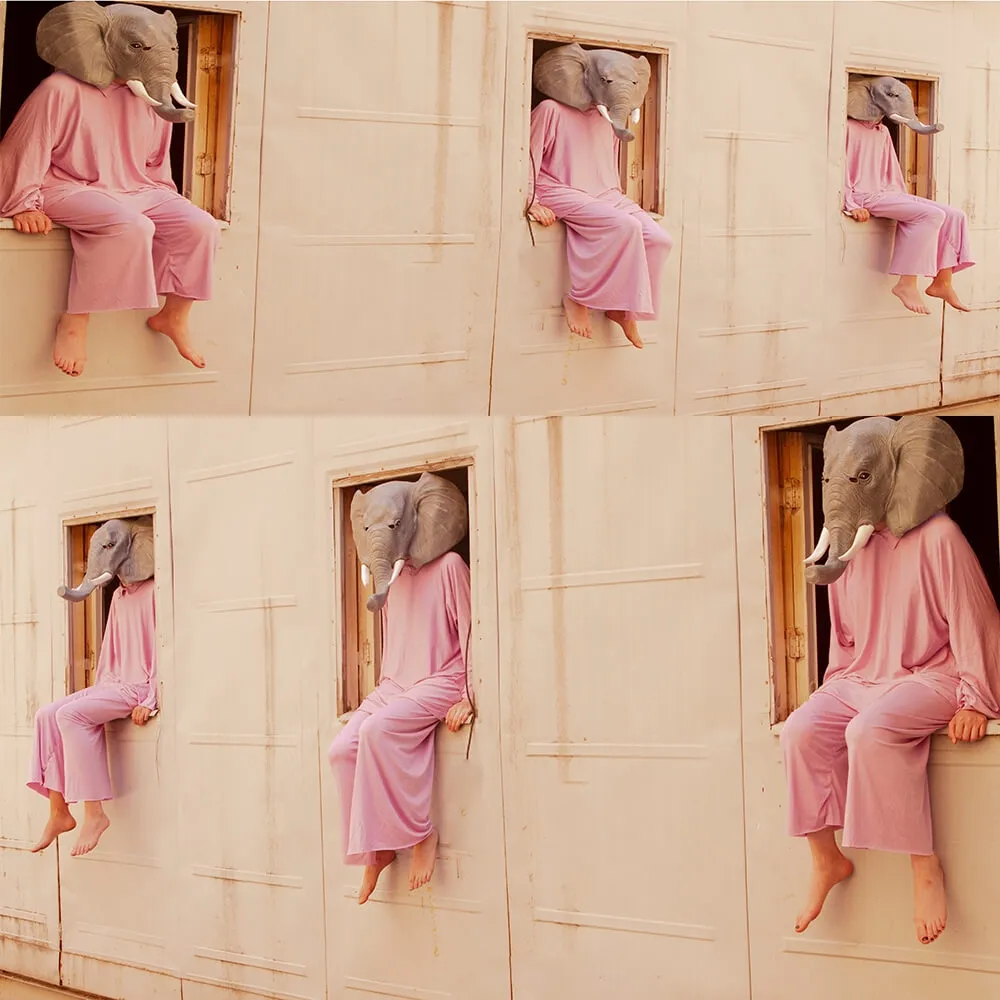 Karen Khachaturov - Elephant family 5 3D Model