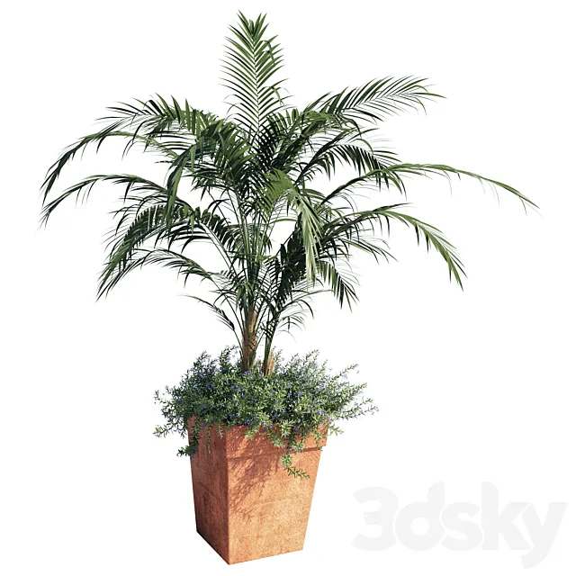 Kentia palm 3DModel