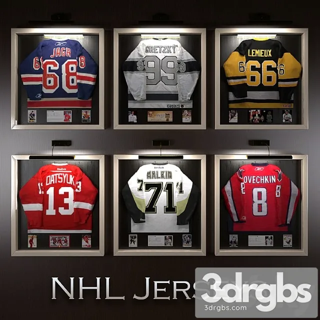 Khokkieinyie Svitiery Zviezd Nhl 3D Model Free