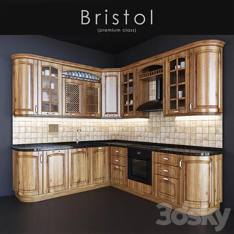 Kitchen Bristol (premium class) 3D Model