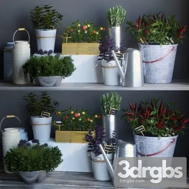 Kitchen garden 2 3D Model Free