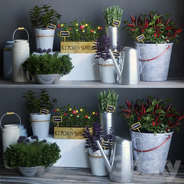 Kitchen garden 2 3DModel