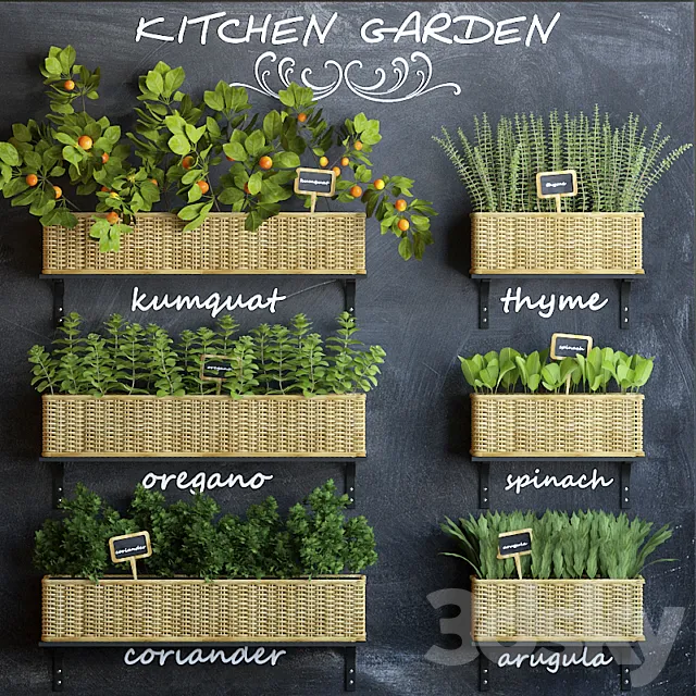 Kitchen garden 3 3DModel