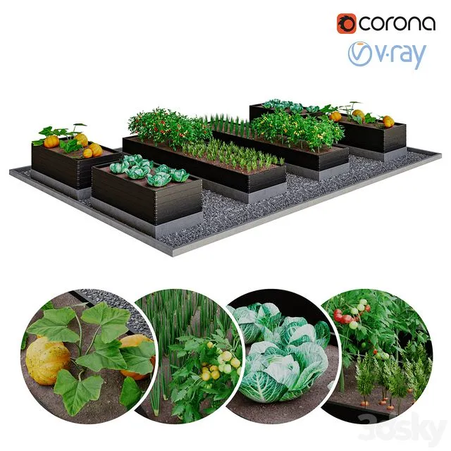 Kitchen garden 3D Model