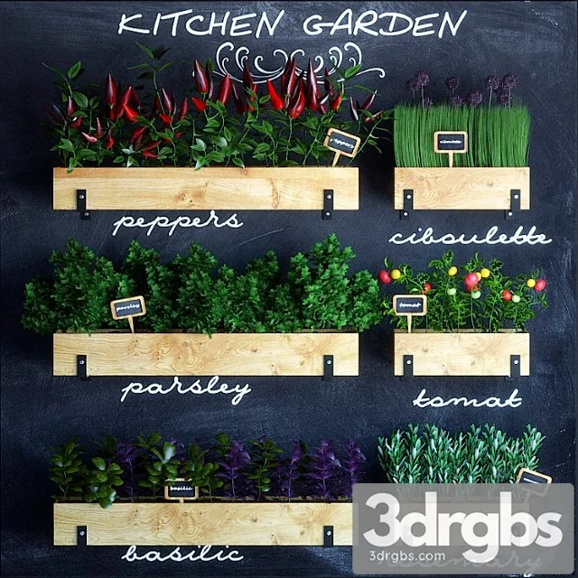 Kitchen garden 3D Model Free