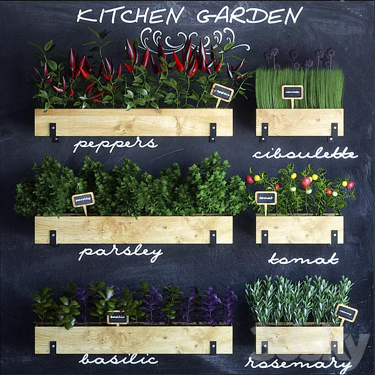 Kitchen garden 3D Model
