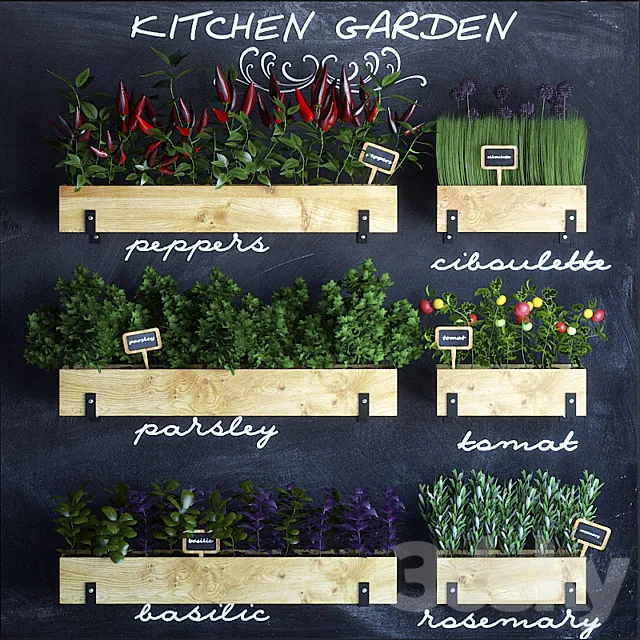 Kitchen garden 3DModel