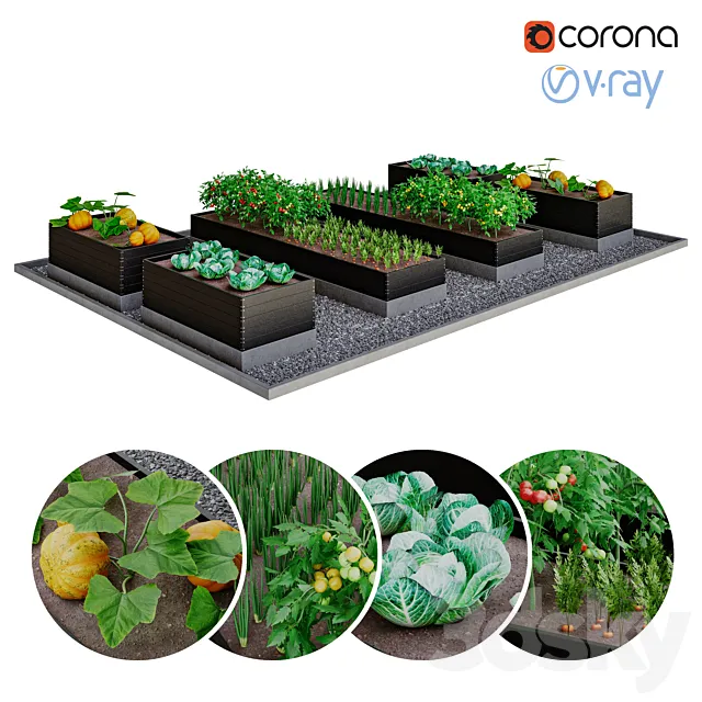 Kitchen garden | kitchen garden 3D Model