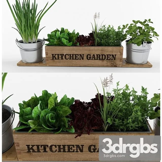 Kitchen garden_222 3D Model Free