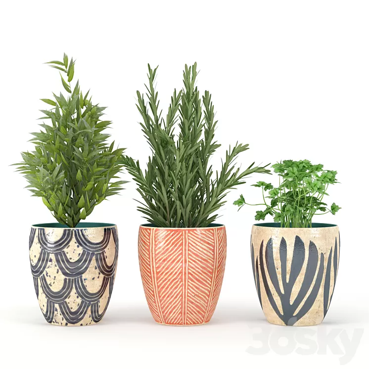 Kitchen_Plant 3D Model