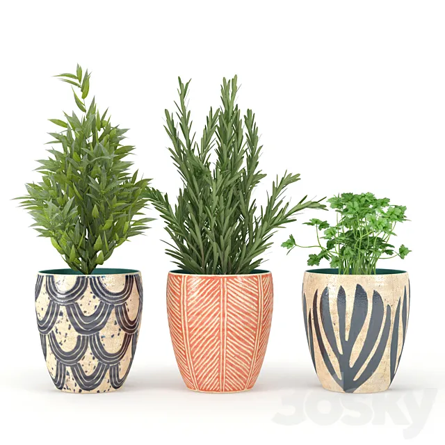 Kitchen_Plant 3DModel